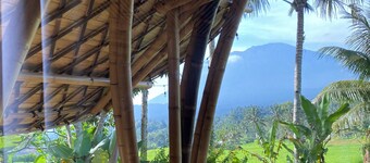 Great Mountain Views