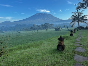 Jardín