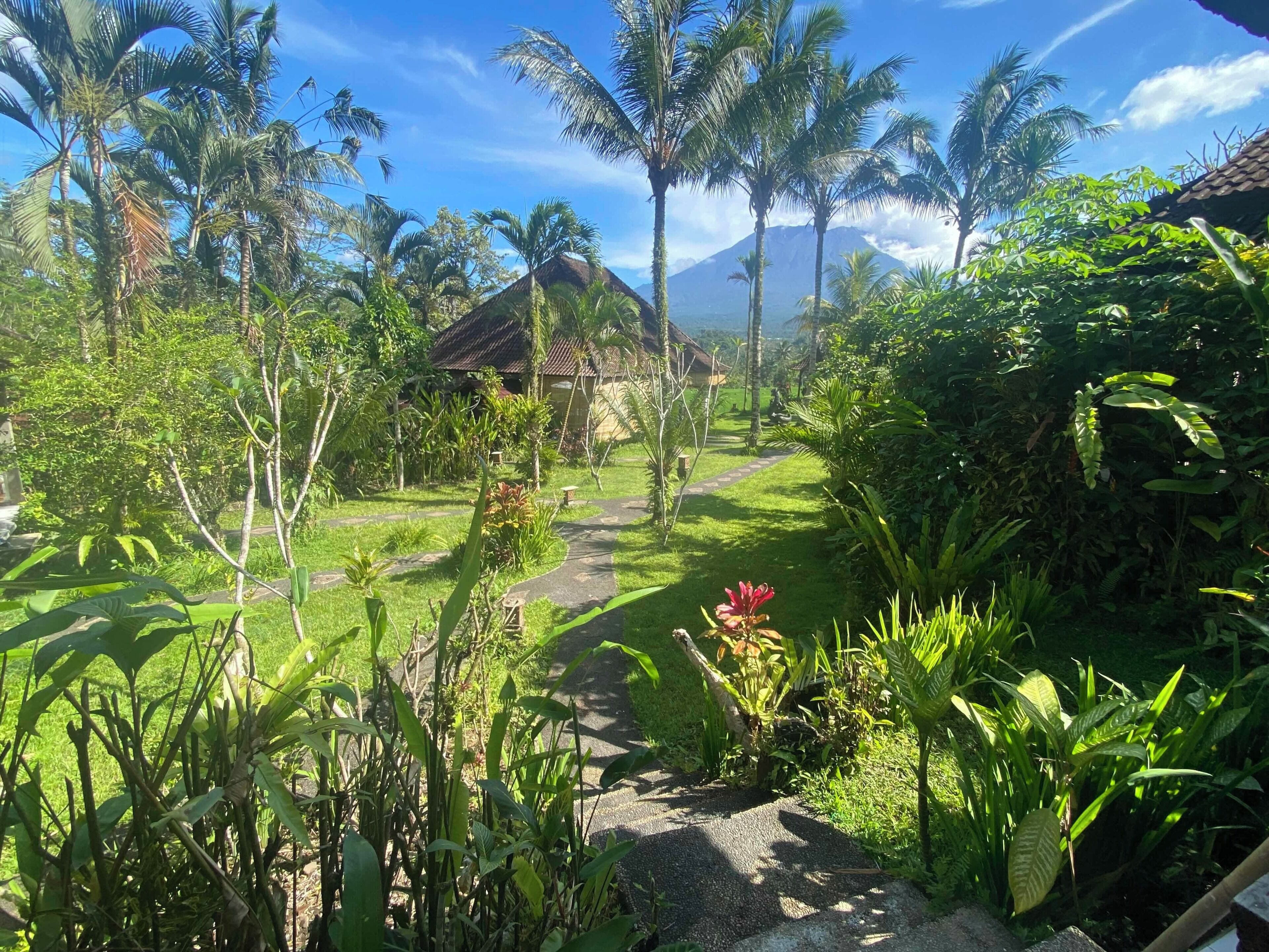 Un jardín tropical con un sendero que lleva a una edificación con techo de paja.