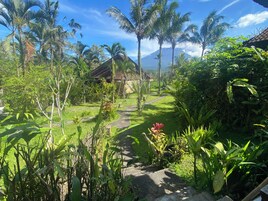 Un jardín tropical con un sendero que lleva a una edificación con techo de paja.