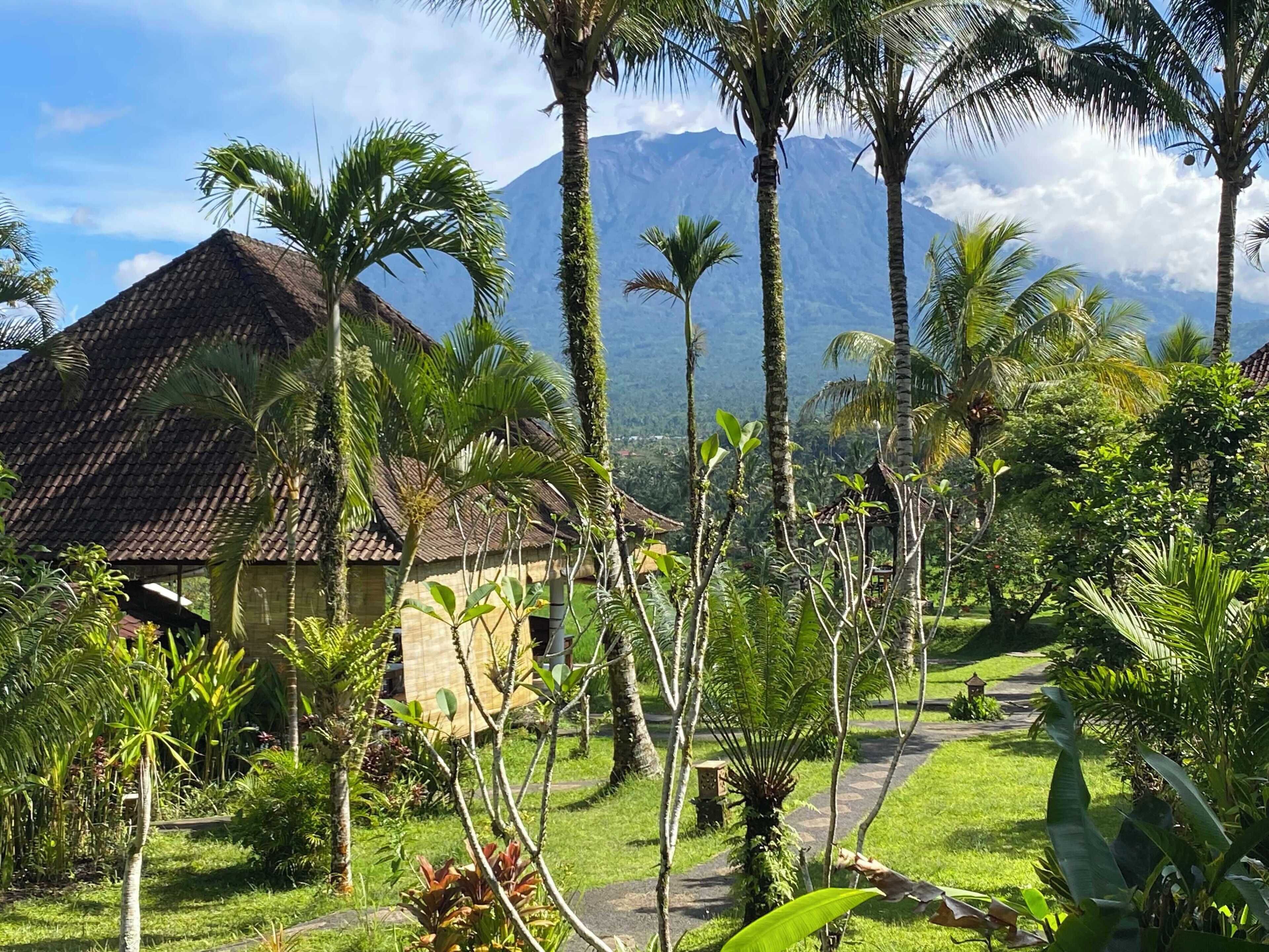 A tropical garden with a thatched-roof building, palm trees, and a mountain in the background.