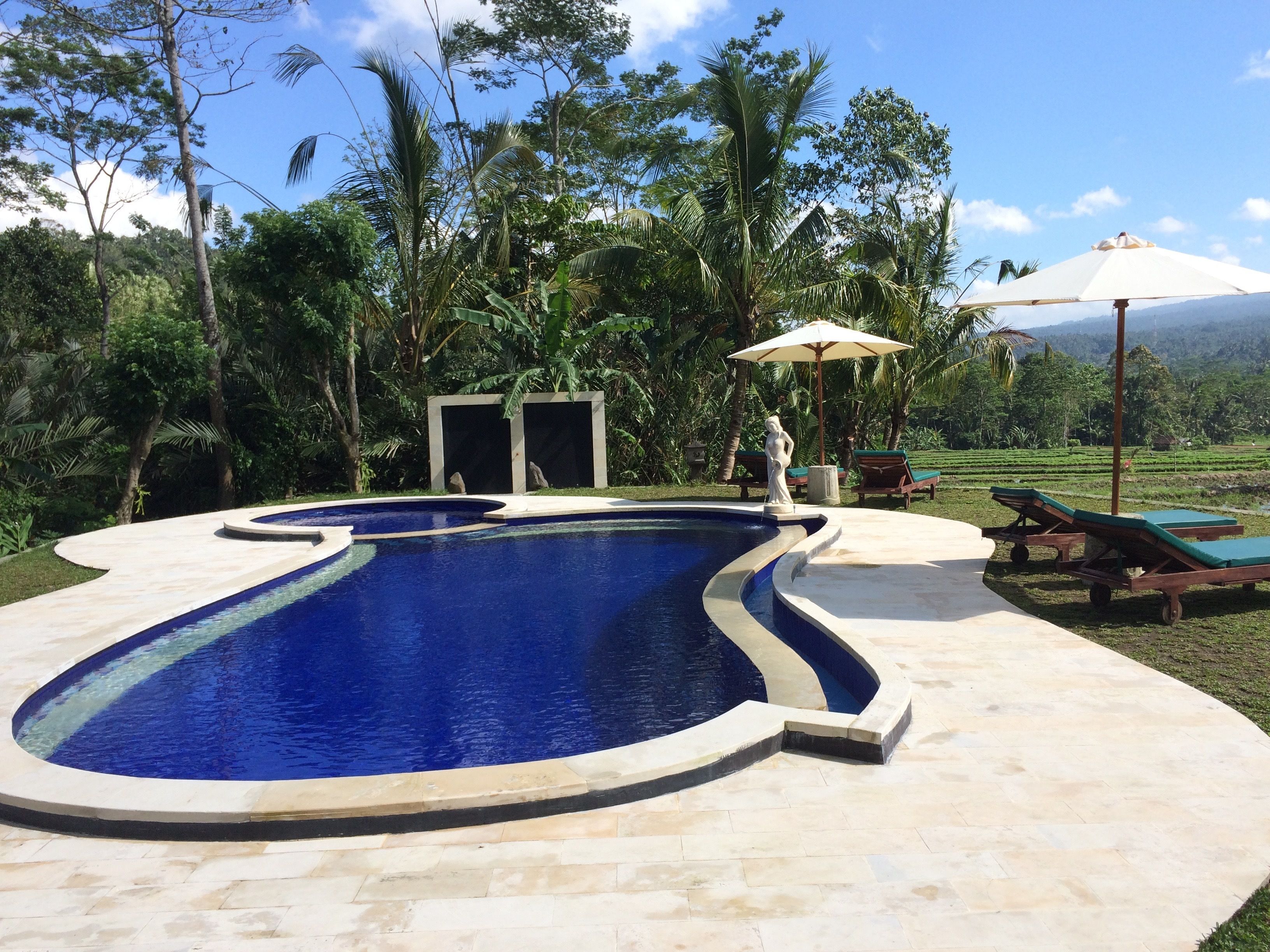 A swimming pool with a unique shape, surrounded by a stone deck. There are lounge chairs and a statue near the pool.