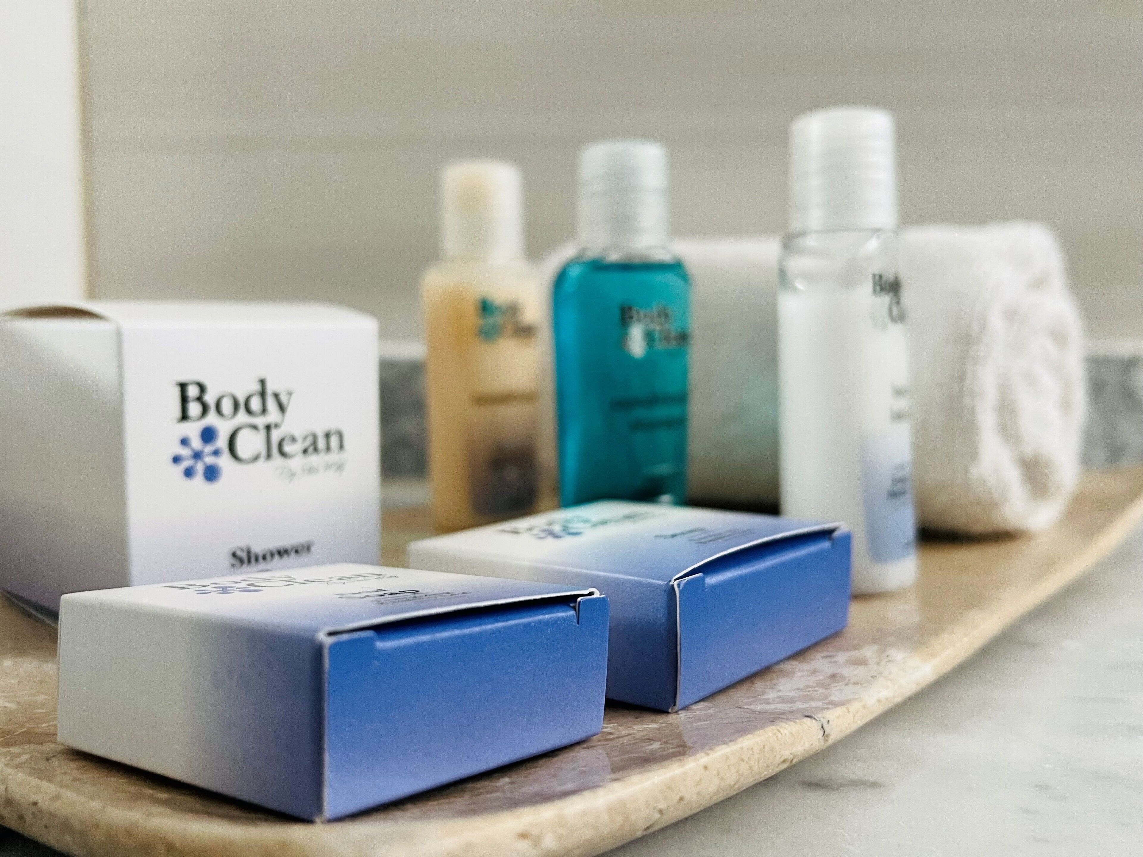 deluxe double room | bathroom | free toiletries, towels