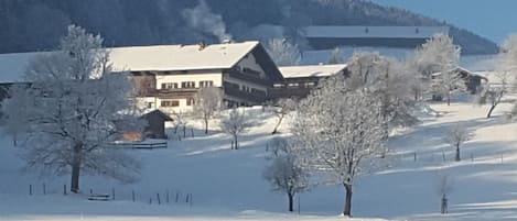 Aussenbereich