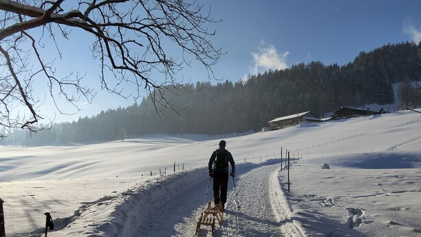 A person skiing down a snowy slope with a clear sky and trees in the background. - Apartment Alpenpanorama optionally with 1 or 2 bedrooms, balcony, 60 sqm (Samerberg)