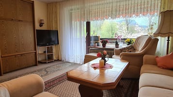 Fernseher, DVD-Player