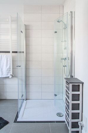 Shower, hair dryer, towels