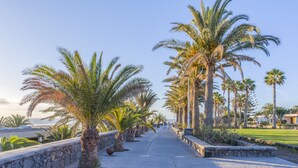 A paved pathway lined with palm trees, leading towards a body of water. - Casas Pepe Apartments & Spa- Adults Only (San Bartolomé de Tirajana)