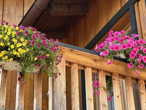 A wooden structure with hanging flower baskets containing yellow and pink flowers.