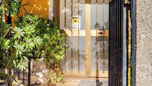 A building entrance with a tiled pathway, a wooden door with a metal gate, and potted plants. - Luna e Stelle B&B (Sangineto)