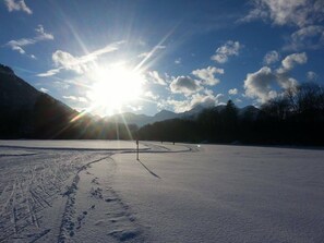 Ferienwohnung- 3 Personen, 50qm, 1 Schlafzimmer, Balkon, WLAN-Winterwonderland