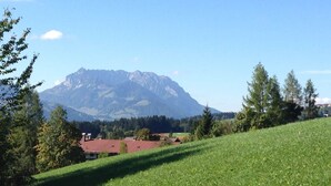 A grassy hillside with a mountain in the background. - (2) Ferienwohnung 36m², 2 Personen mit seperaten Schlafzimmer, Du/WC, Balkon (Reit im Winkl)