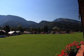 Un paisaje rural con un gran campo verde, una hilera de casas y montañas al fondo.