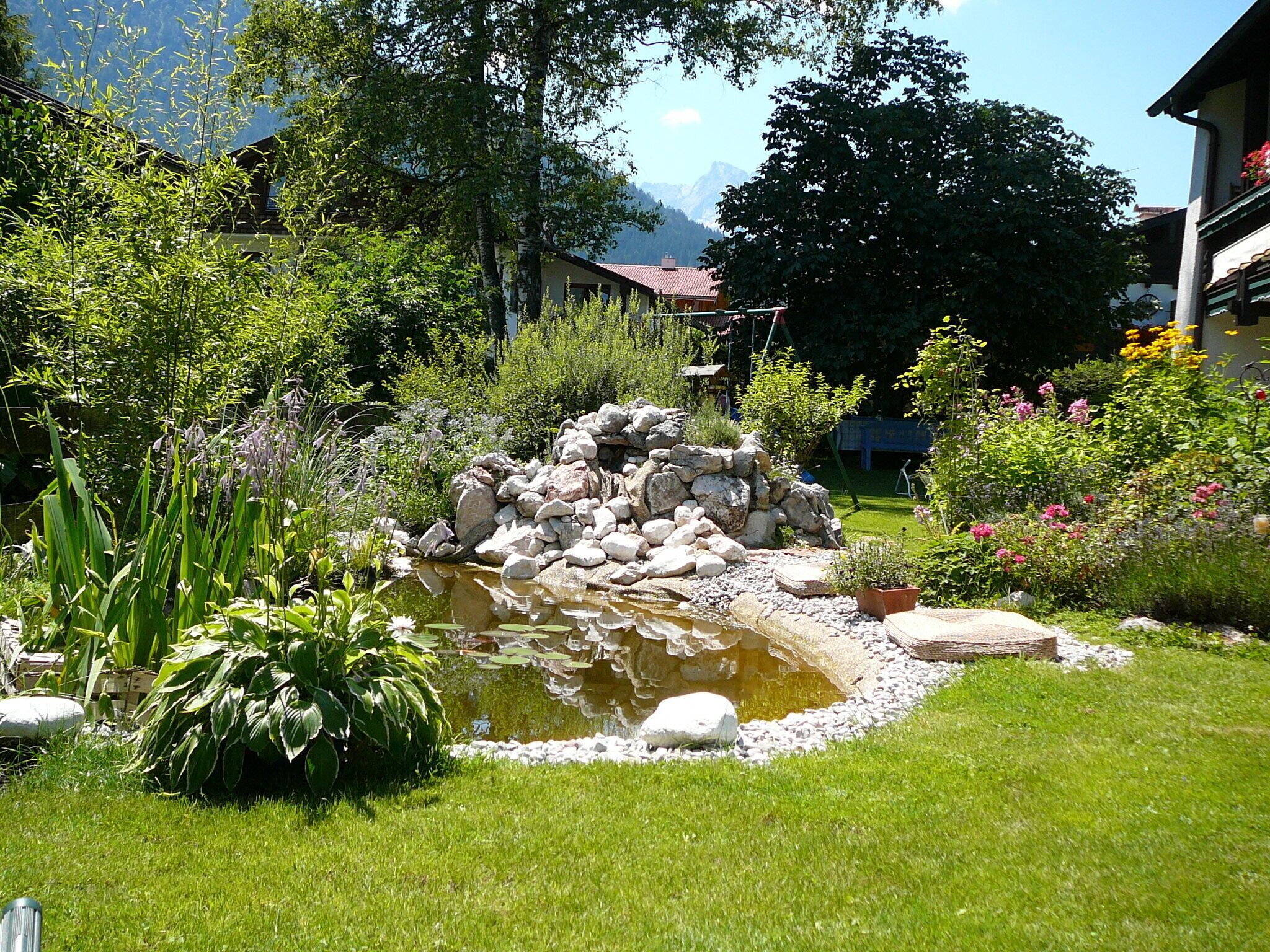 A garden with a pond, rocks, and various plants.