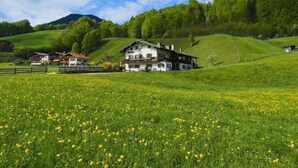 Una grande casa a due piani con tetto spiovente, immersa in un prato verdeggiante pieno di fiori gialli.