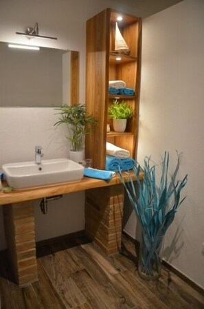 Shower, hair dryer, towels
