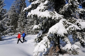 Sne- og skisport