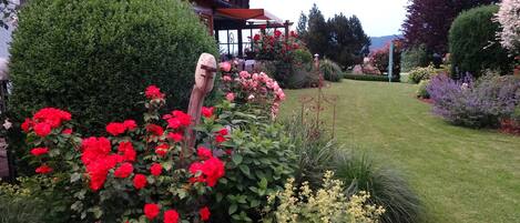 Área da propriedade