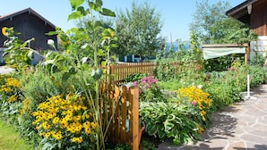 Un giardino con diverse piante e fiori, recinzioni in legno e un vialetto in pietra.