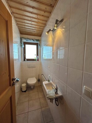 Shower, hair dryer, towels - Appartement (Siegsdorf)