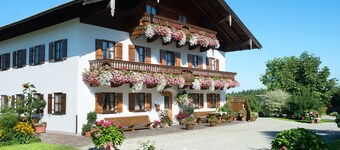 leilighet