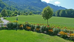 A rural landscape with a green field, a tree, and mountains in the background. - Ferienwohnung II 65 qm°, mit zwei extra Schlafzimmer mit Süd-Balkon (Aschau im Chiemgau)