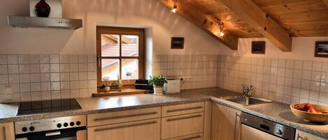 Fridge, oven, stovetop, dishwasher