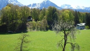 Une vue sur un paysage montagneux, avec des sommets enneigés en arrière-plan, un champ herbeux au premier plan et deux bâtiments partiellement cachés par des arbres.