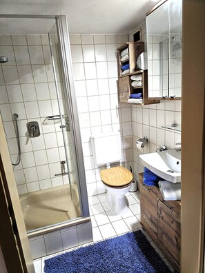 Shower, hair dryer, towels