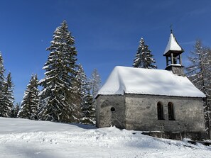 Schneeschuhwandern