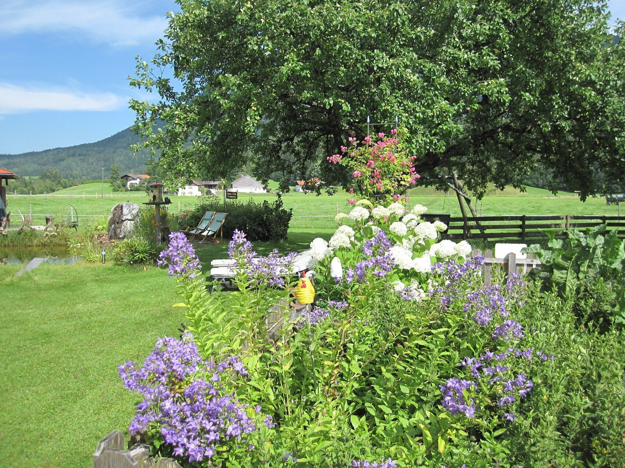 Un jardin avec un étang, des bancs et une clôture en bois.