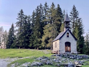 Une petite église en pierre, dotée d’un clocher, entourée d’une forêt dense.