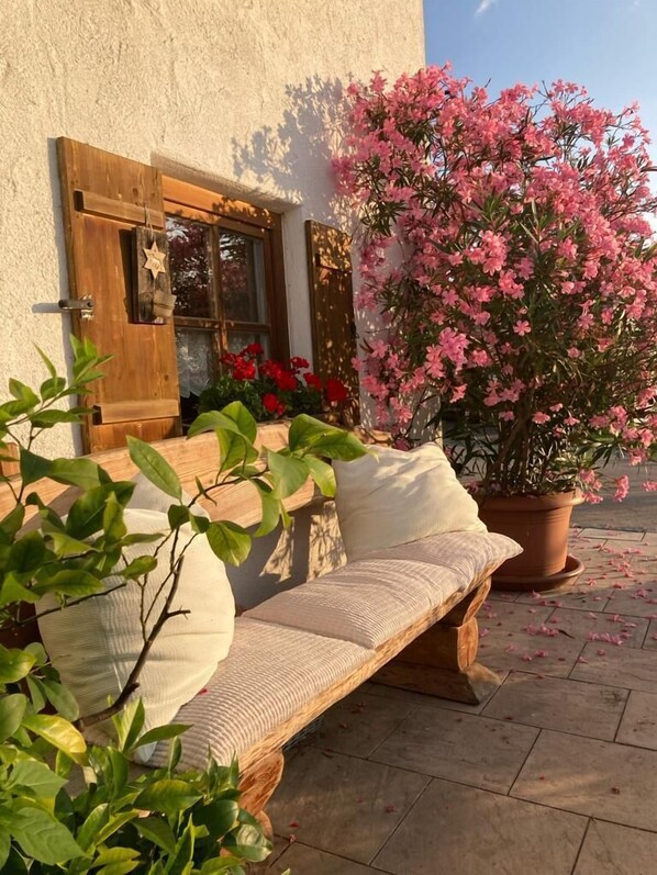Terrass/Patio