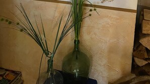Una pared con cuatro fotografías en blanco y negro enmarcadas de vacas. Debajo de los marcos, hay un florero con plantas verdes y un cráneo de vaca.