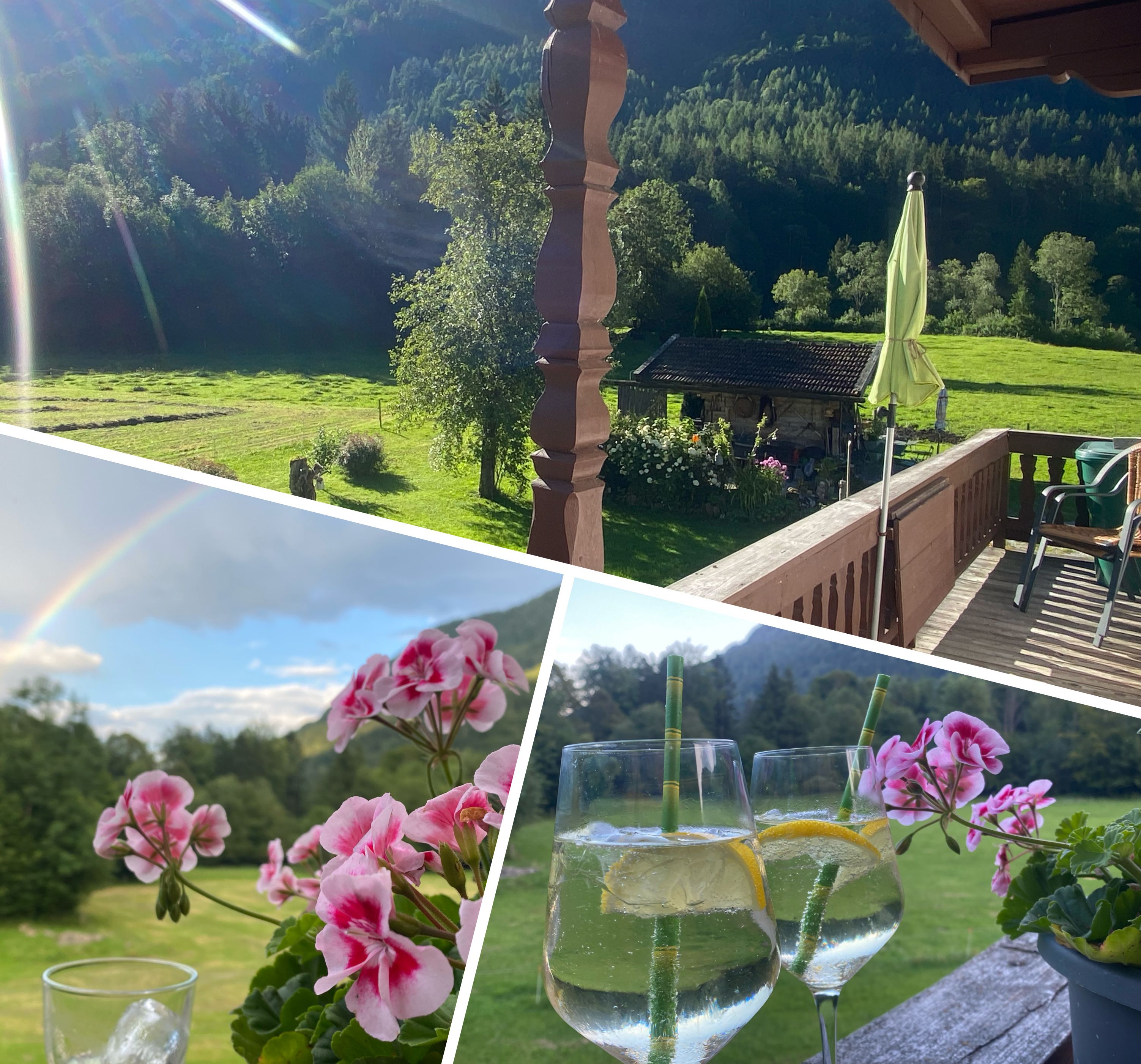 Ein Garten mit einem Gazebo, einem Glas Wasser mit Zitronenscheibe und rosa Blumen.