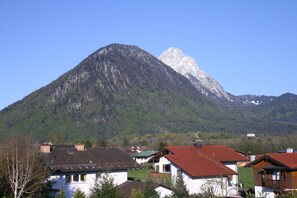 Ein Berg mit schneebedecktem Gipfel und bewaldeter Hang.