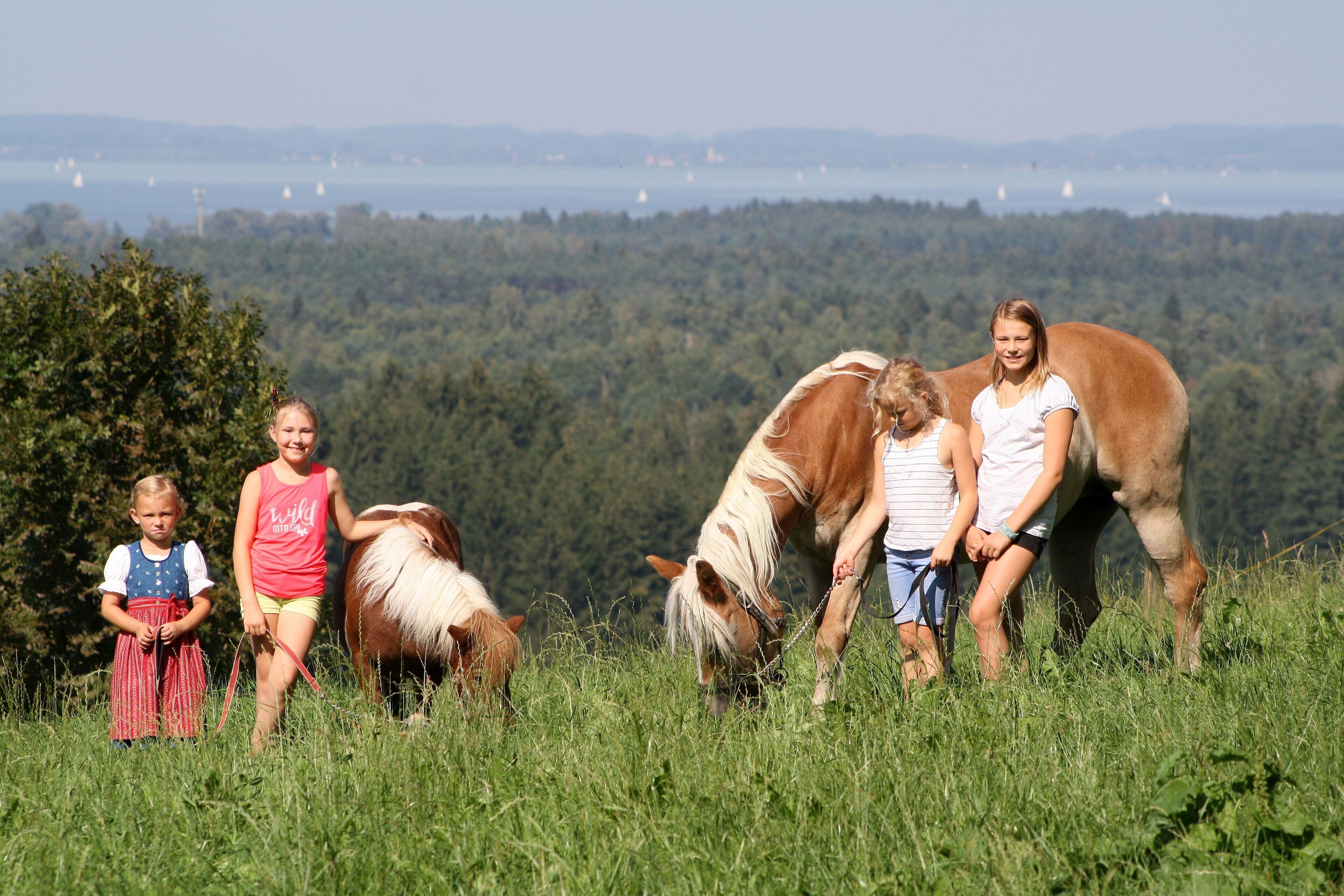 Eine Familie mit einem Pferd, das auf einer grasbewachsenen Wiese vor einer bewaldeten Berglandschaft weidet.