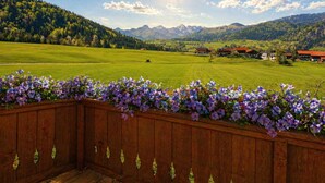 Ein Holzbalkon mit Blumenkasten, Blick auf ein grünes Feld und Berge im Hintergrund.