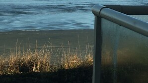 Ein Strand mit Wellen und einer entfernten Insel.