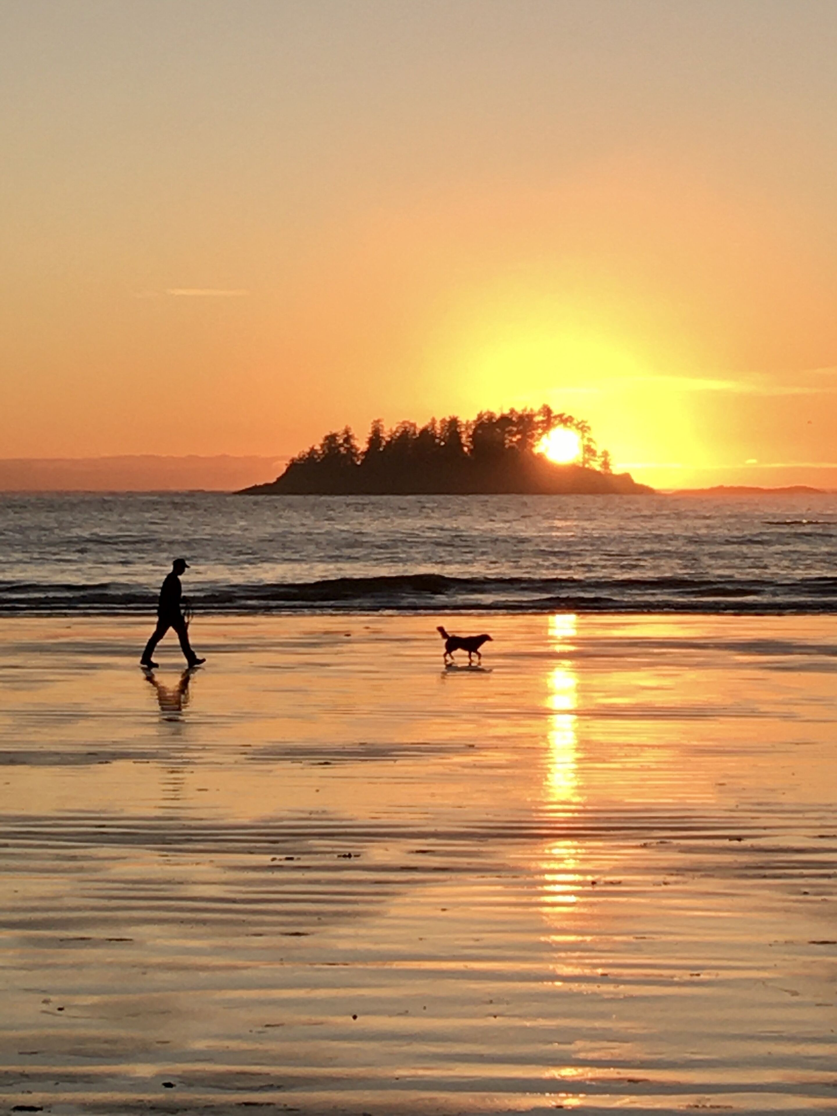 ビーチの近く、白砂