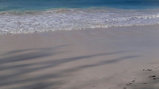 A beach with a clear sky and calm sea. - Sue'S Homestay (Oistins)