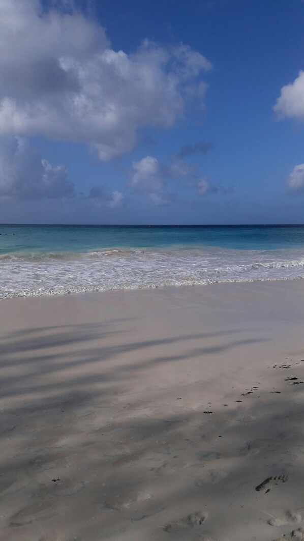 Beach nearby, white sand
