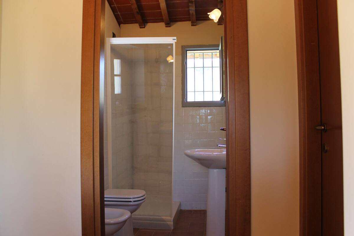 Un baño con inodoro, ducha y lavamanos.