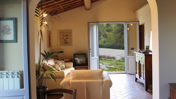 Una sala de estar con un sofá, un televisor y una planta en maceta.