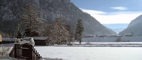 A snow-covered landscape with a wooden fence, trees, and a mountain in the background.