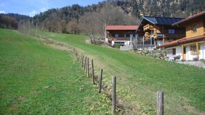 Eine Holzhütte mit geneigtem Dach, einem eingezäunten Weinberg und einer Bergkulisse im Hintergrund.