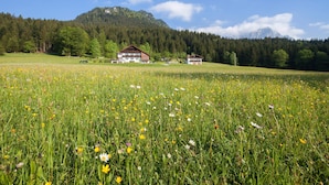 A rural landscape with a large field of wildflowers, two wooden houses, and a mountain in the background. - Ferienhaus für 2-4 Personen (Berchtesgaden)