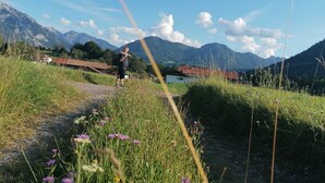A rural landscape with a clear sky, mountains, and a path with wildflowers. - No. 2 Holiday apartment Hörndlwand 70sqm, balcony, 2 bedrooms, 1 bed-sitting room (Ruhpolding)