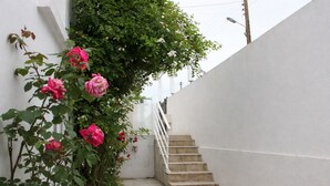 A narrow stairway with a white wall on one side and a climbing rose bush on the other.