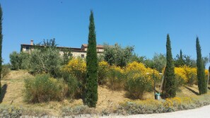 المنطقة المحيطة بالمنشأة